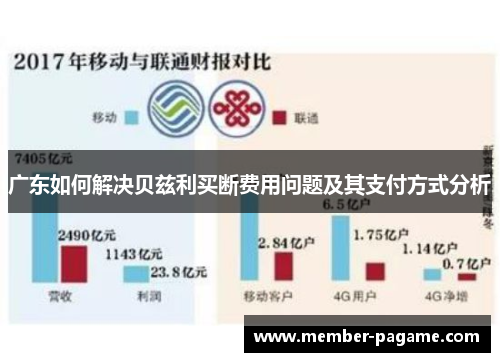广东如何解决贝兹利买断费用问题及其支付方式分析