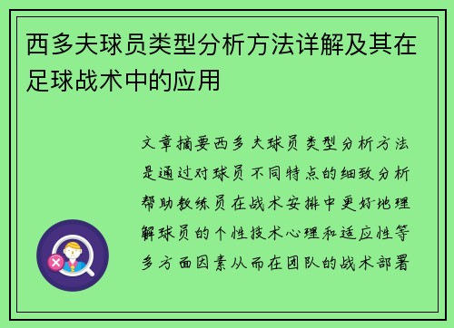 西多夫球员类型分析方法详解及其在足球战术中的应用