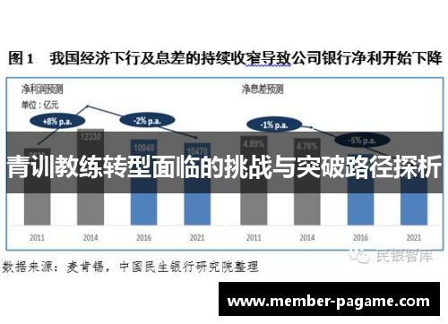青训教练转型面临的挑战与突破路径探析