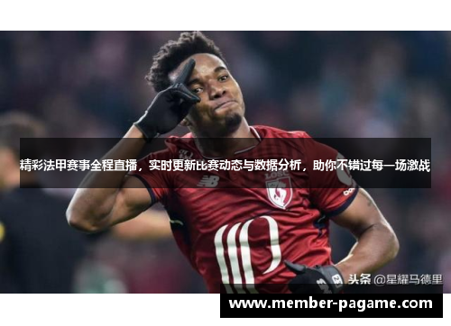 精彩法甲赛事全程直播，实时更新比赛动态与数据分析，助你不错过每一场激战