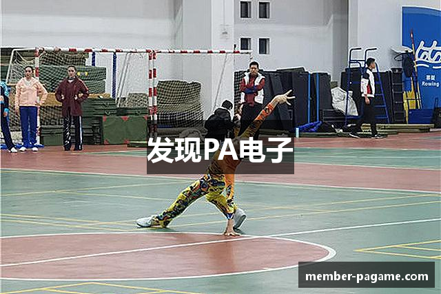 发现PA电子